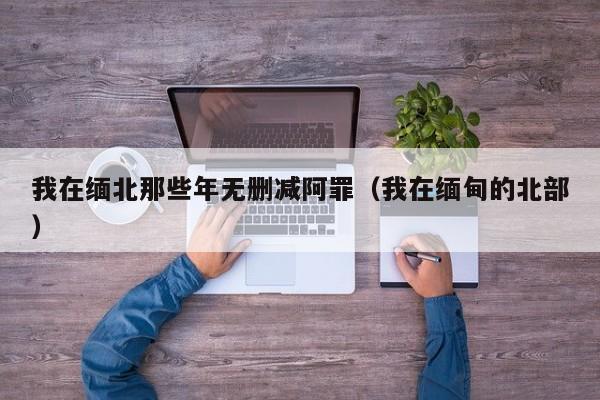 我在缅北那些年无删减阿罪(我在缅甸的北部)